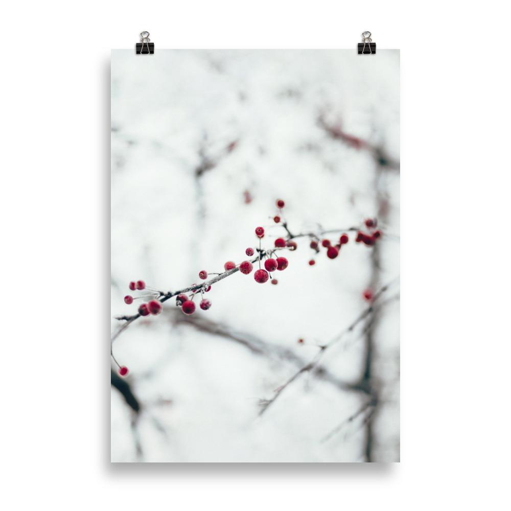 Poster - Winterbeeren 21×30 cm artlia