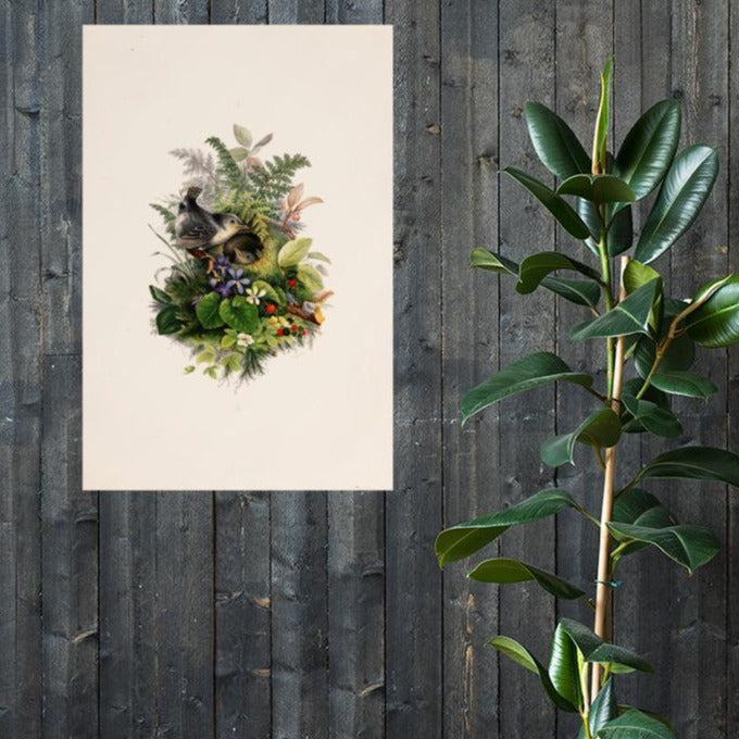 Poster - Zaunkönig und das Nest artlia