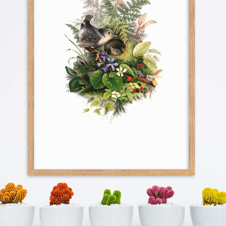 Poster - Zaunkönig und das Nest artlia