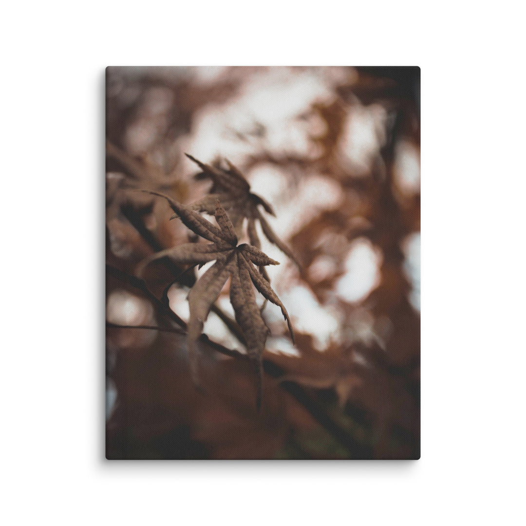 Leinwand - Autumn leaves - a moment in nature