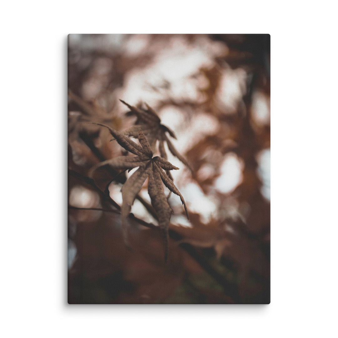 Leinwand - Autumn leaves - a moment in nature