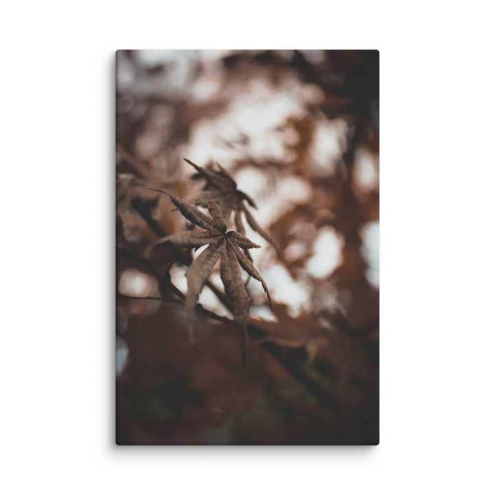 Leinwand - Autumn leaves - a moment in nature