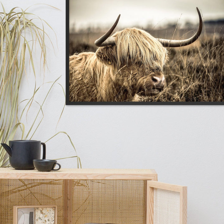 Poster - Highland Cattle Retro