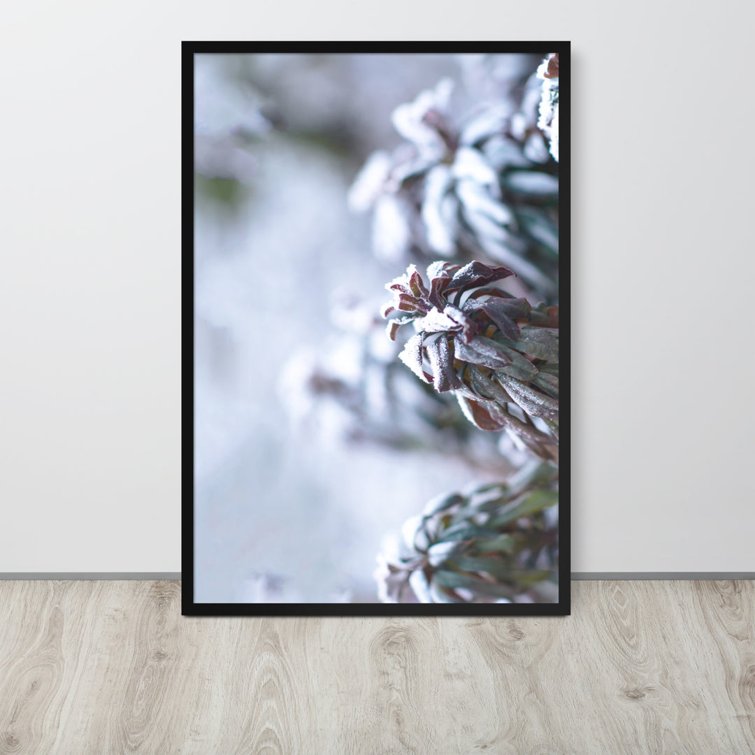 Poster - Rijp op bladeren, een moment in de natuur