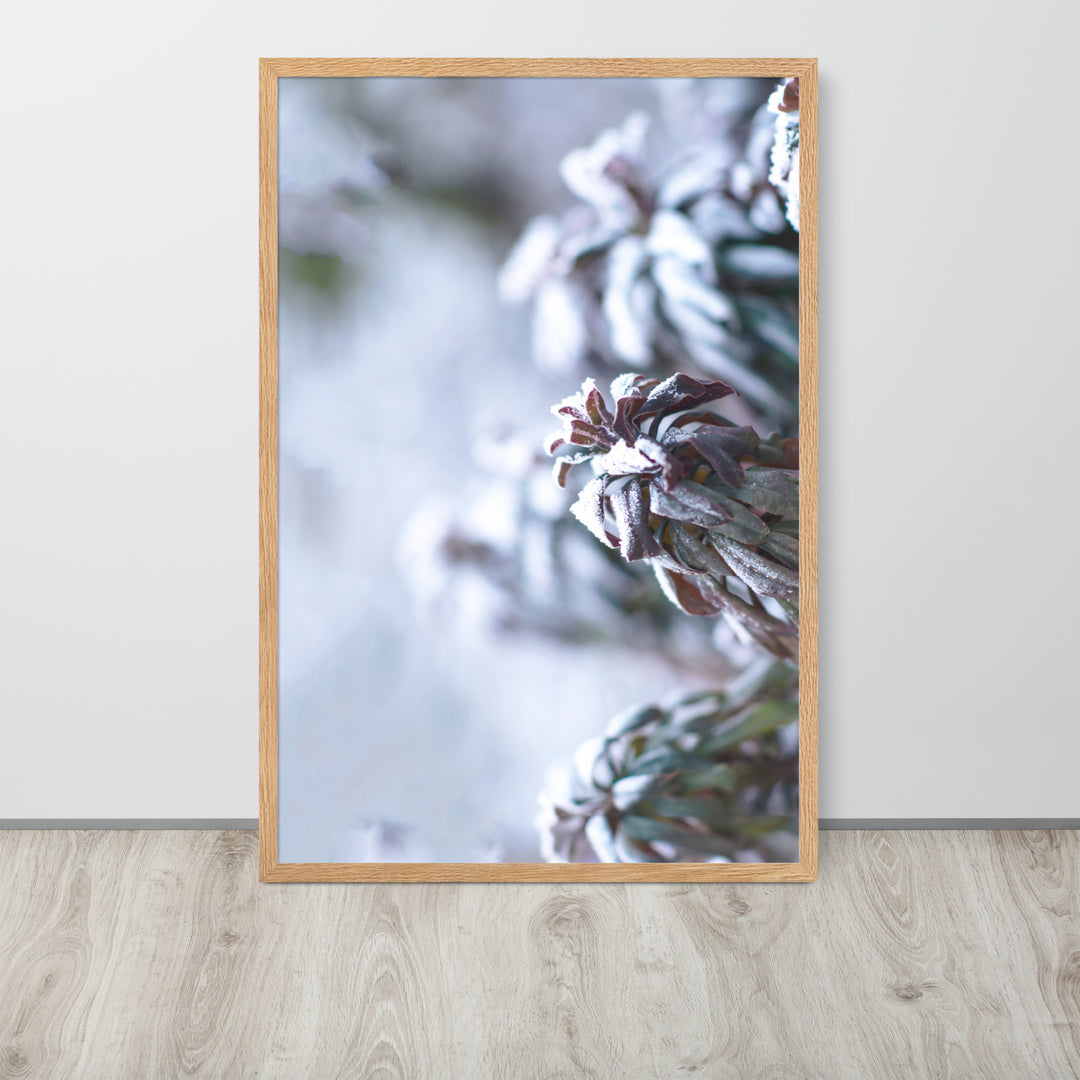 Poster - Rijp op bladeren, een moment in de natuur