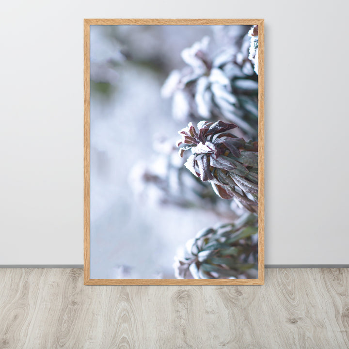 Poster - Rijp op bladeren, een moment in de natuur
