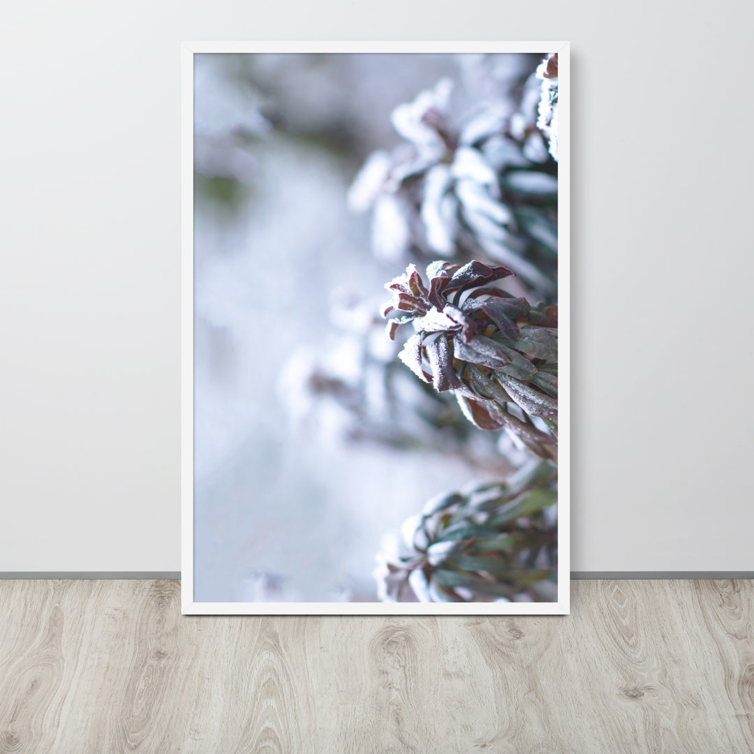 Poster - Rijp op bladeren, een moment in de natuur