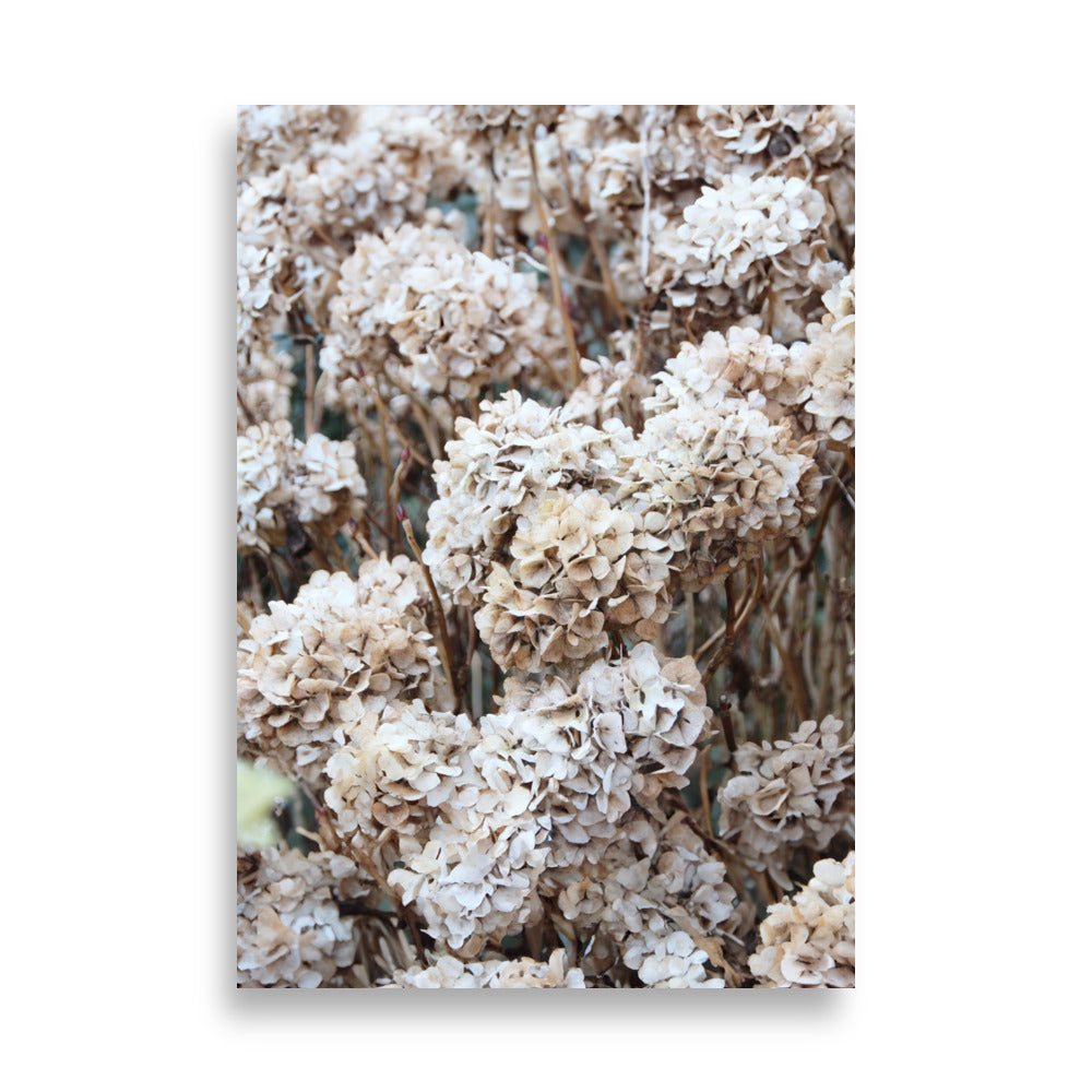 Poster - Tijdloze bloemen hortensia's