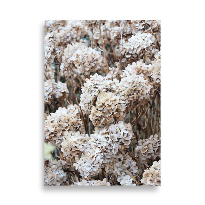 Poster - Tijdloze bloemen hortensia's