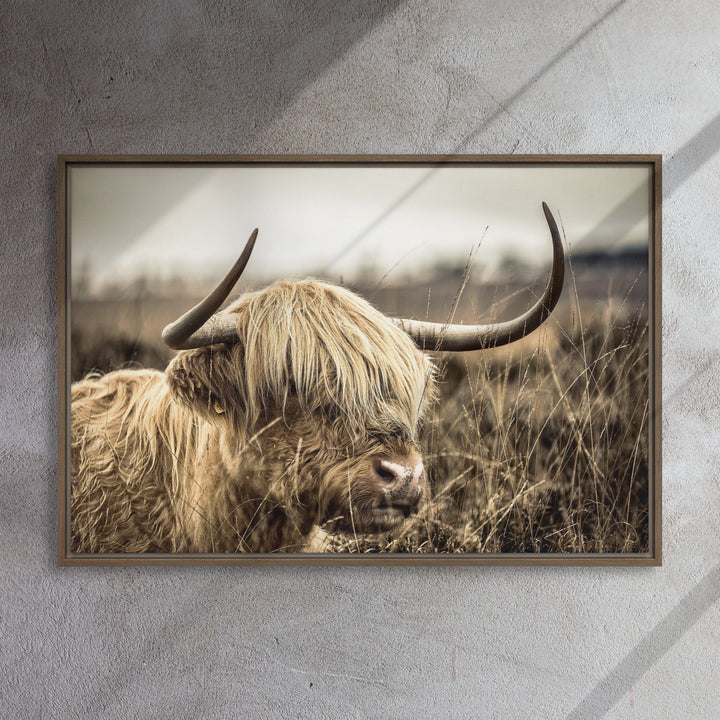 Leinwand - Highland Cattle Retro