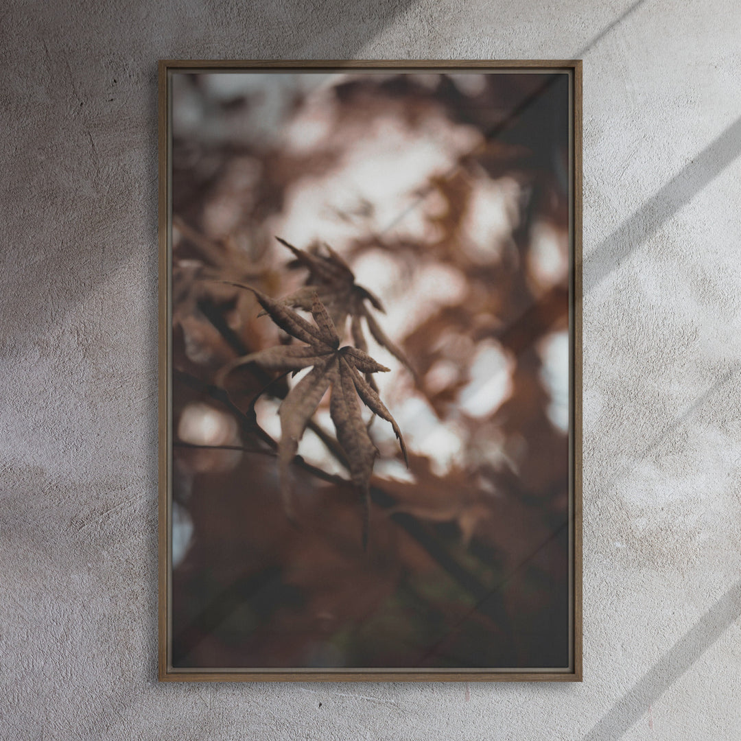 Leinwand - Autumn leaves - a moment in nature