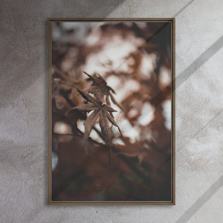 Leinwand - Autumn leaves - a moment in nature