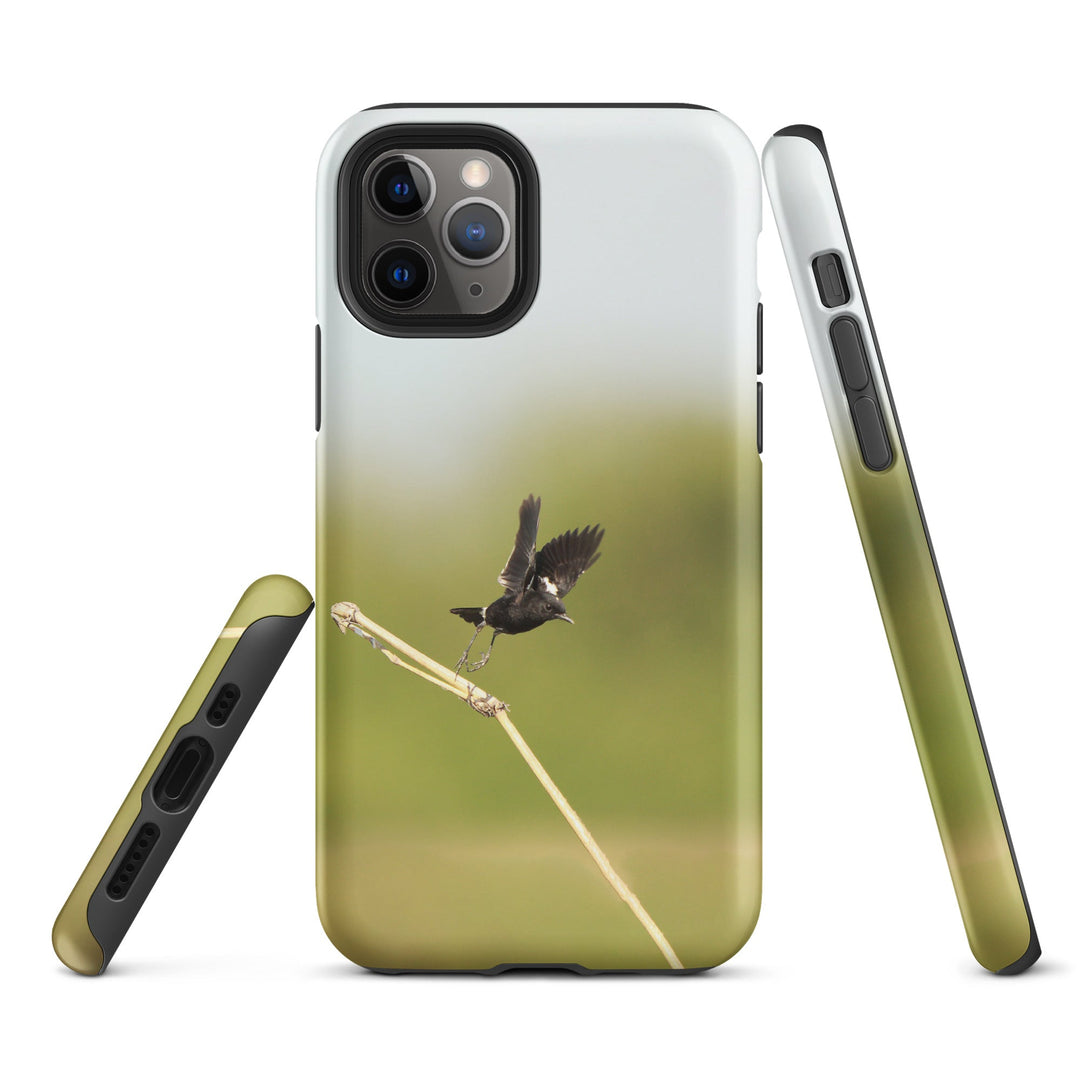 Hardcase iPhone® Handyhülle - Elsterschmätzer Pied Bushchat Young Han Song iPhone 11 Pro artlia