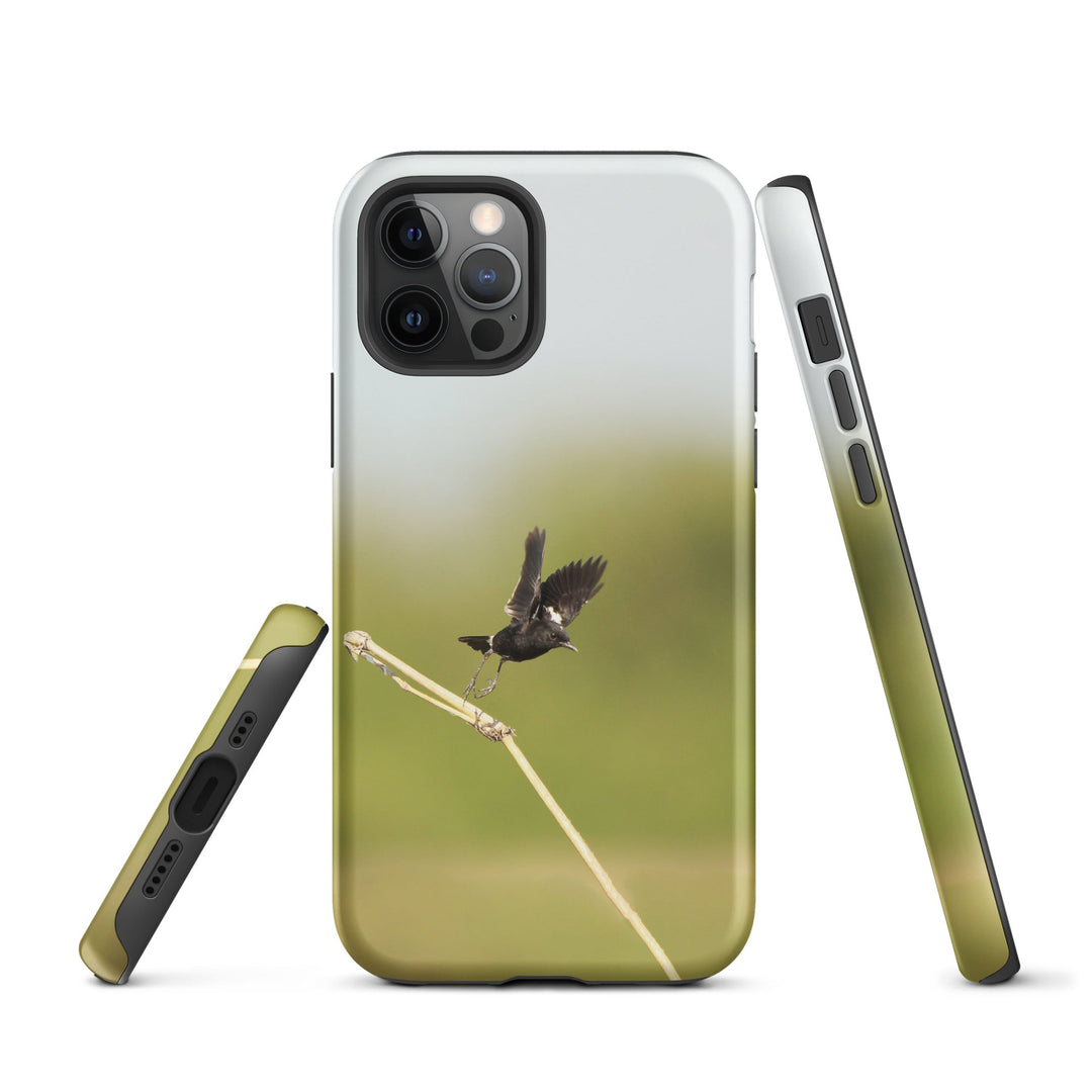 Hardcase iPhone® Handyhülle - Elsterschmätzer Pied Bushchat Young Han Song iPhone 12 Pro artlia