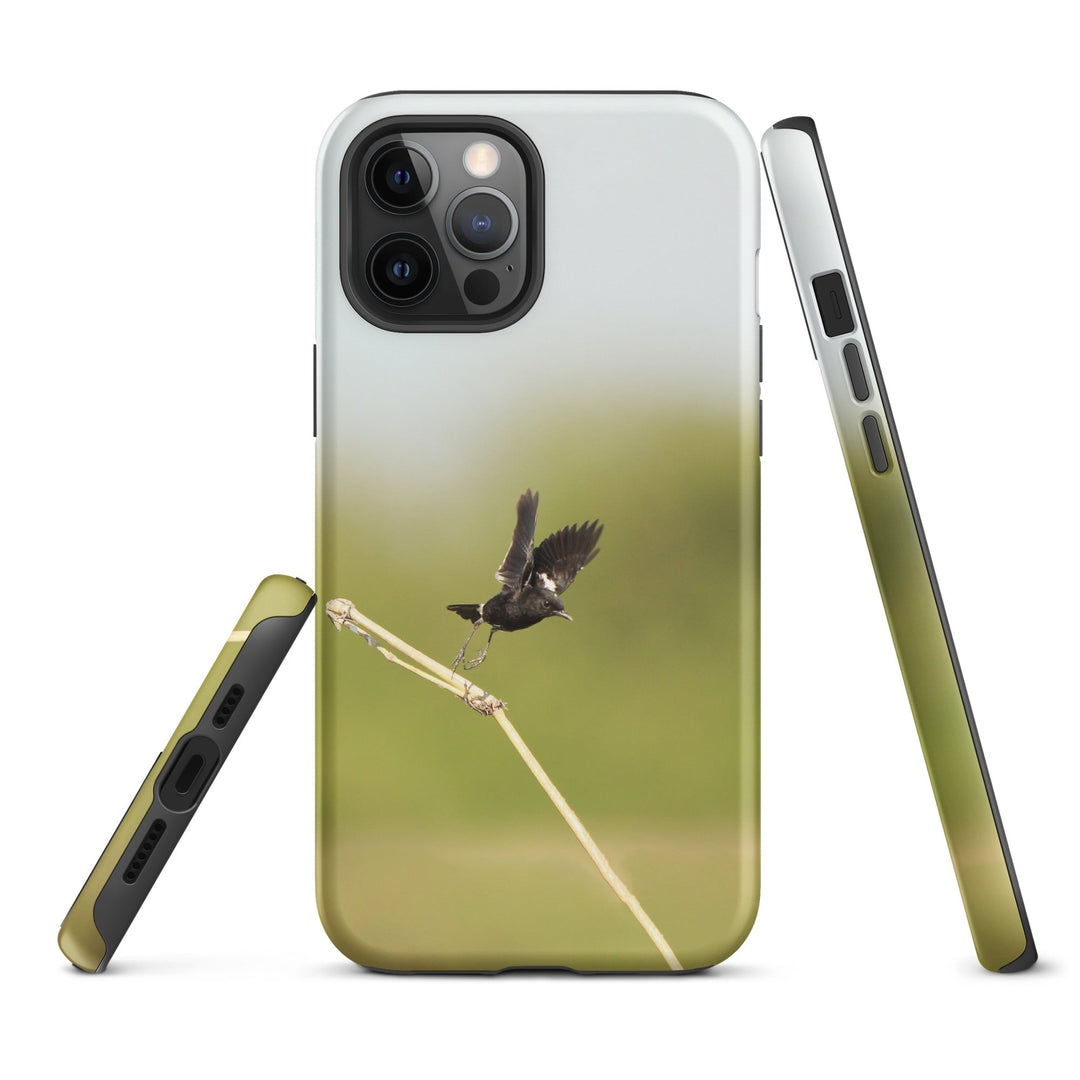 Hardcase iPhone® Handyhülle - Elsterschmätzer Pied Bushchat Young Han Song iPhone 12 Pro Max artlia