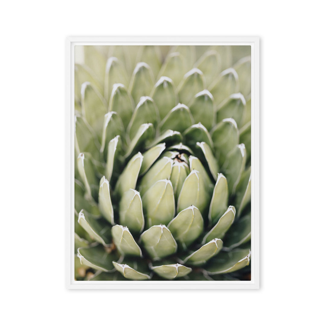 Leinwand - Cactus Flower II Kuratoren von artlia Weiß / 46x61 cm (18″×24″) artlia