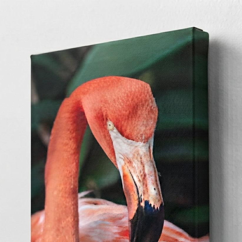 leinwand-flamingo-phoenicopterus-ruber-kuratoren-von-artlia-ohne-rahmen-51x76-cm-20-x30-artlia-online-art-galeria-17