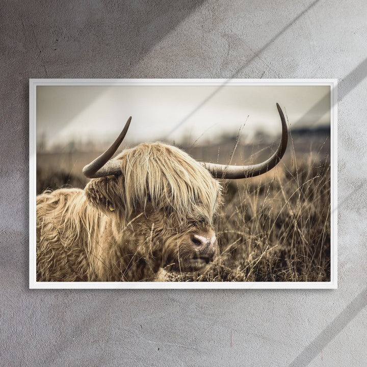 Leinwand - Highland Cattle Retro Kuratoren von artlia artlia