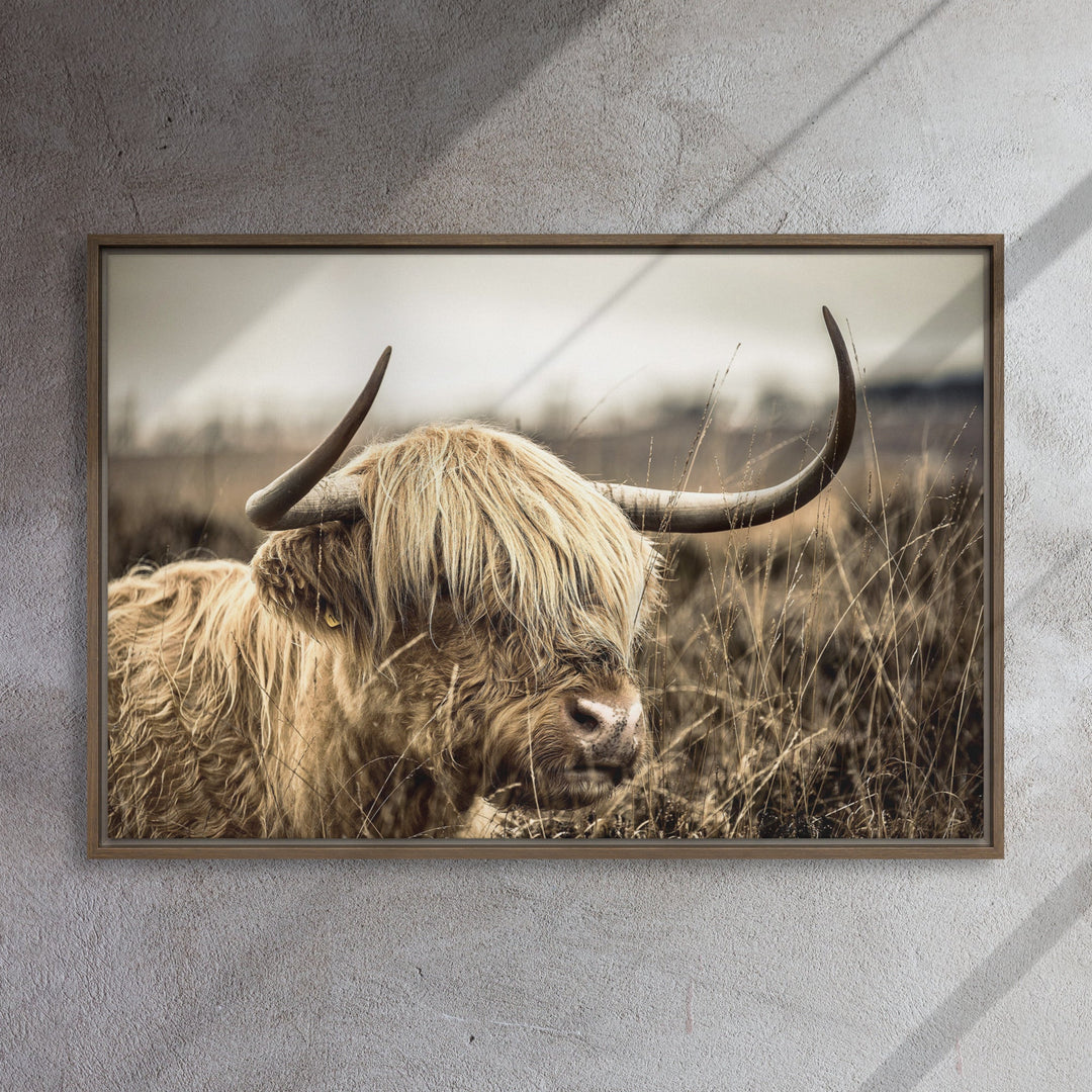 Leinwand - Highland Cattle Retro Kuratoren von artlia artlia