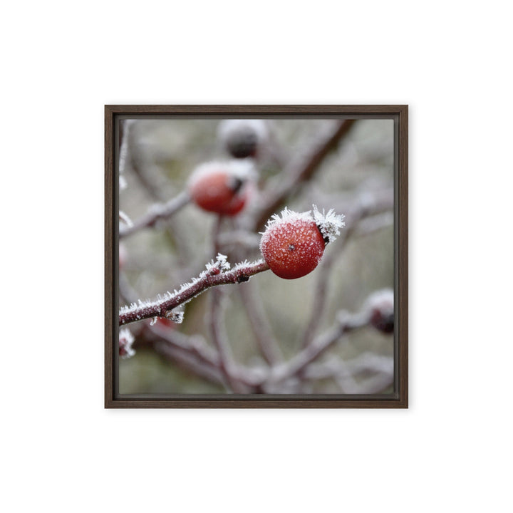 Leinwand - Winterbeeren II Kuratoren von artlia Braun / 41x41 cm (16″×16″) artlia