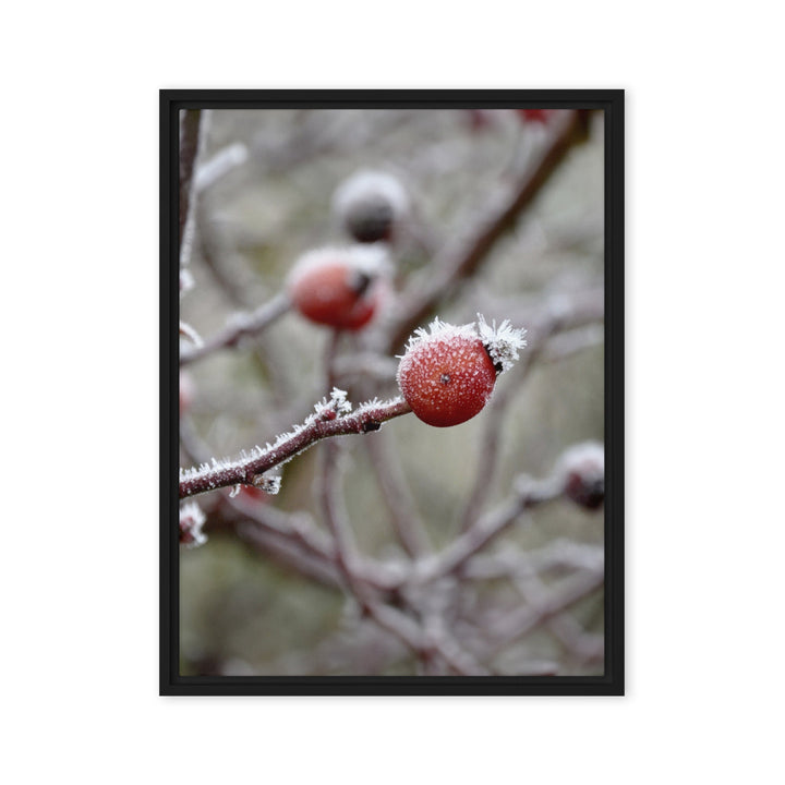 Leinwand - Winterbeeren II Kuratoren von artlia Schwarz / 46x61 cm (18″×24″) artlia