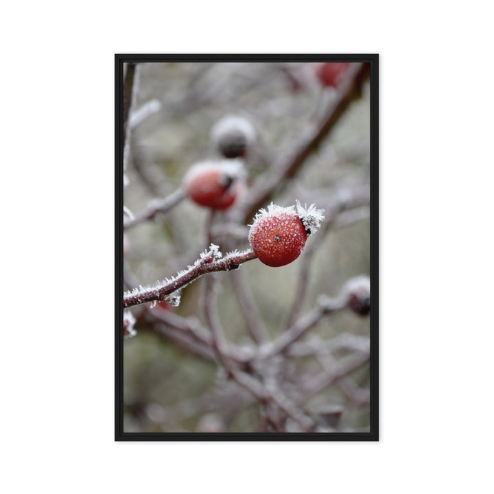 Leinwand - Winterbeeren II Kuratoren von artlia Schwarz / 61x91 cm (24″×36″) artlia