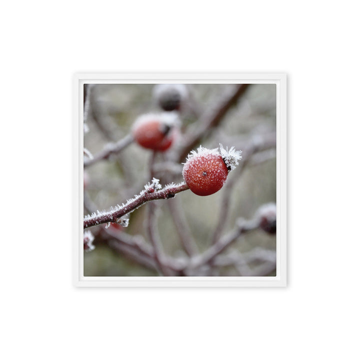 Leinwand - Winterbeeren II Kuratoren von artlia Weiß / 41x41 cm (16″×16″) artlia