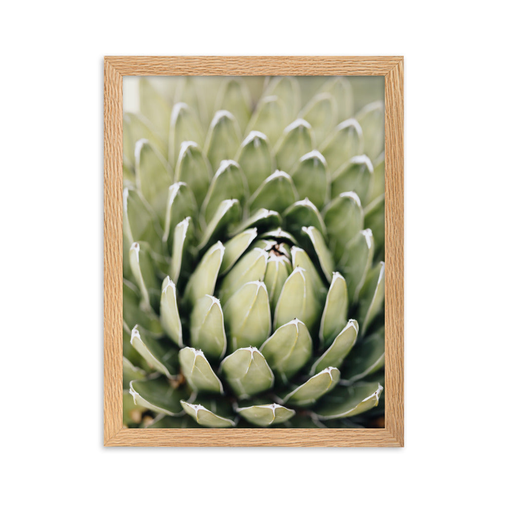 Poster - Cactus Flower II Kuratoren von artlia Oak / 30×40 cm artlia