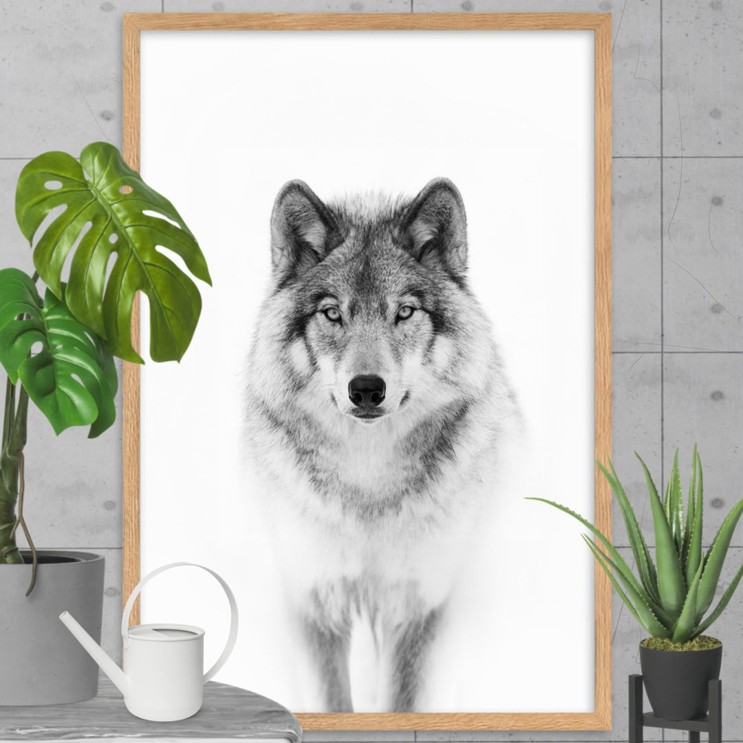 Poster - Calm Wolf Kuratoren von artlia artlia