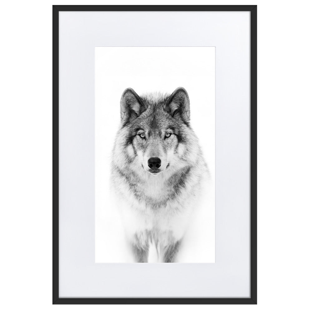 Poster mit Passepartout - Calm Wolf Kuratoren von artlia Schwarz / 61×91 cm artlia