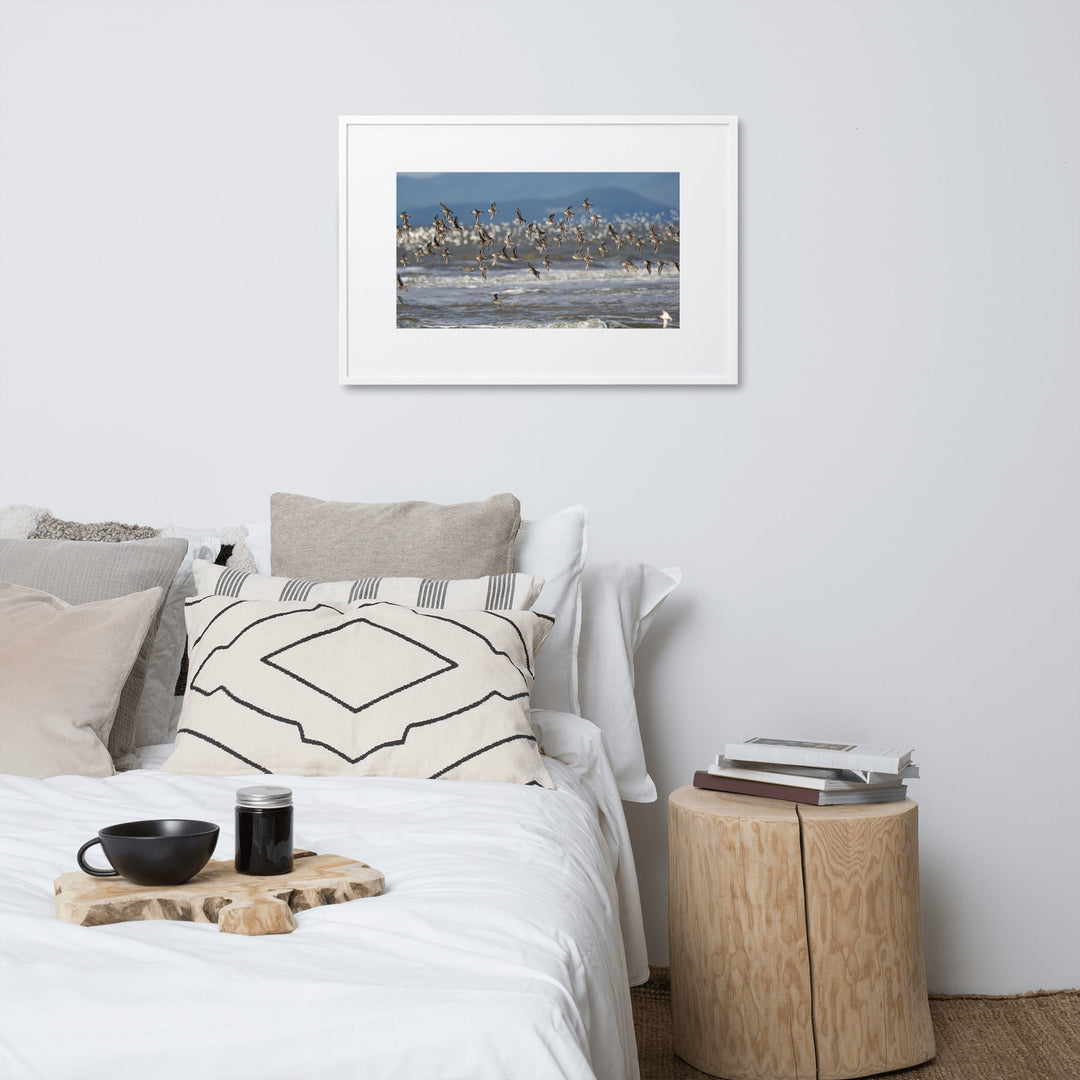 Poster mit Passepartout - Shorebirds Young Han Song artlia