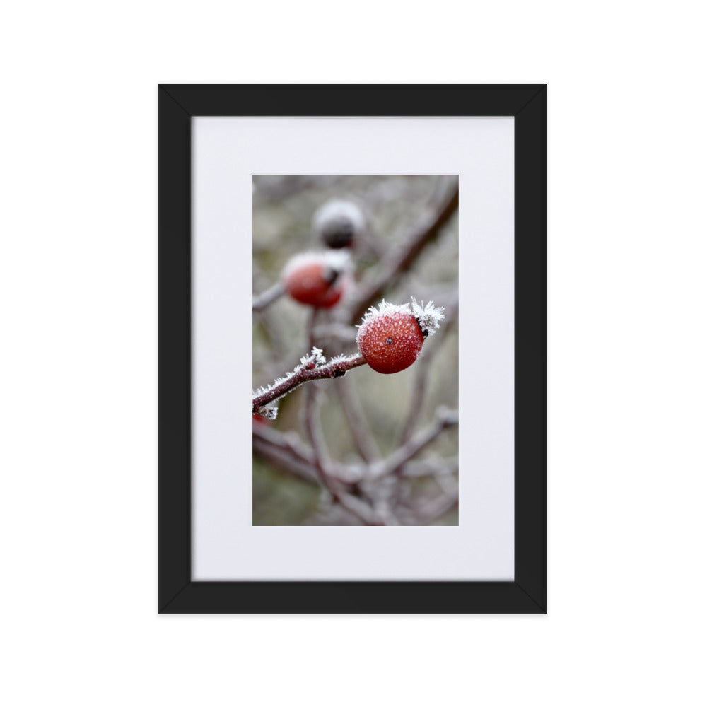 Poster mit Passepartout - Winterbeeren II Kuratoren von artlia Schwarz / 21×30 cm artlia