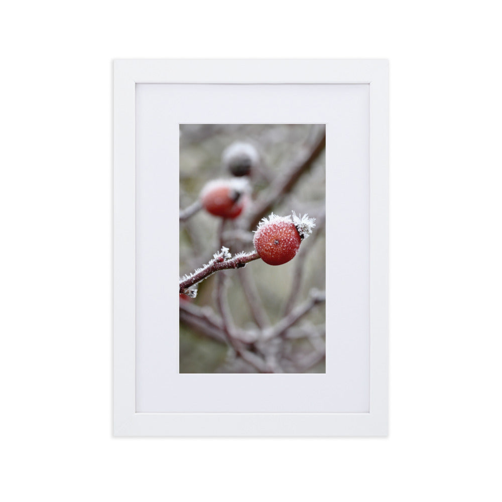 Poster mit Passepartout - Winterbeeren II Kuratoren von artlia Weiß / 21×30 cm artlia