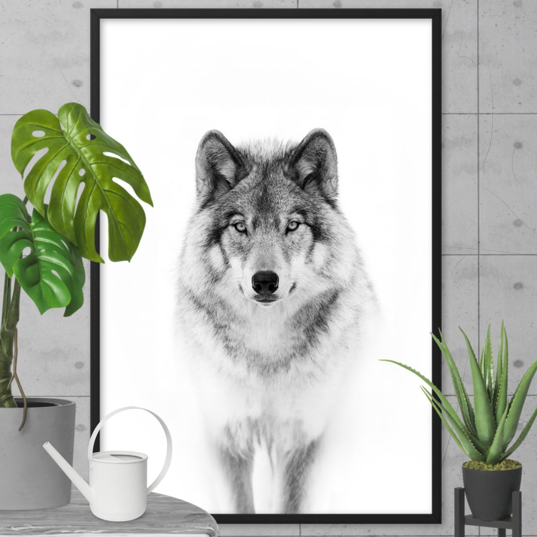 Poster mit Rahmen - Calm Wolf Kuratoren von artlia artlia