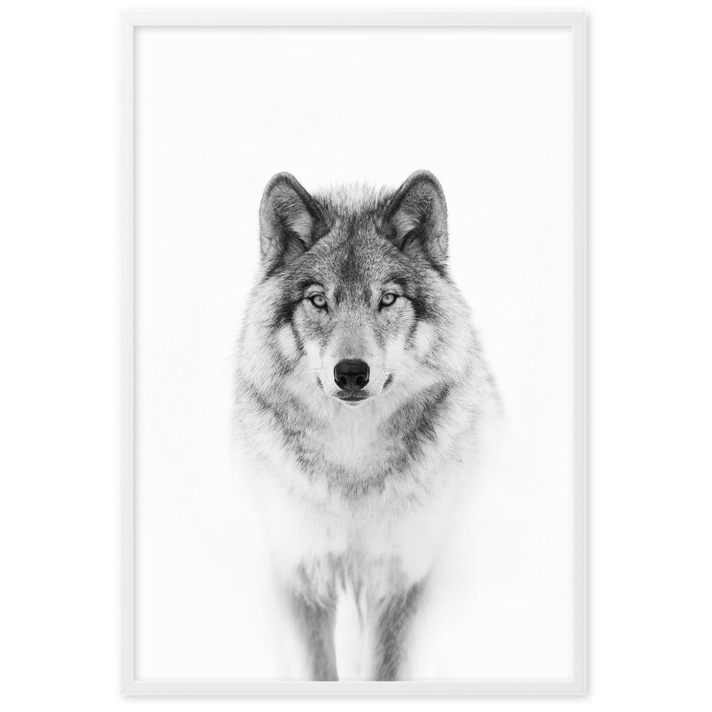 Poster mit Rahmen - Calm Wolf Kuratoren von artlia Weiß / 61×91 cm artlia