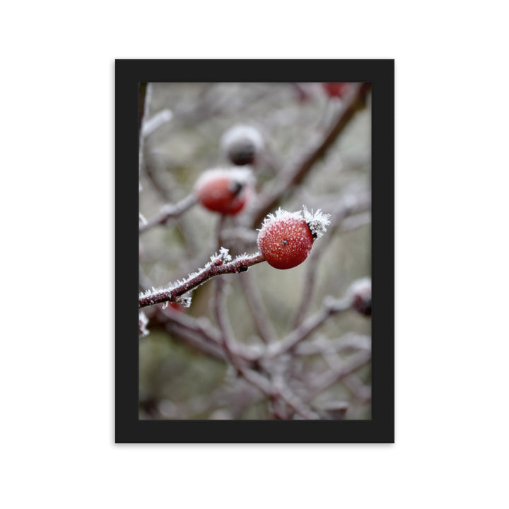 Poster - Winterbeeren II Kuratoren von artlia Schwarz / 21×30 cm artlia