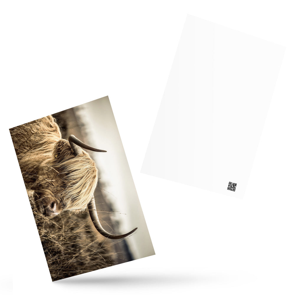 Postkarte - Highland Cattle Retro artlia