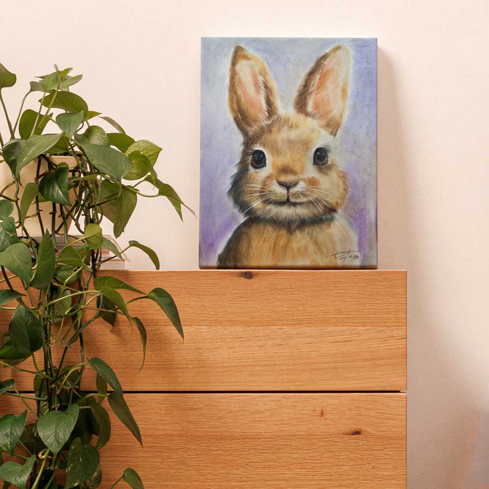 seoyun-rabbit-1