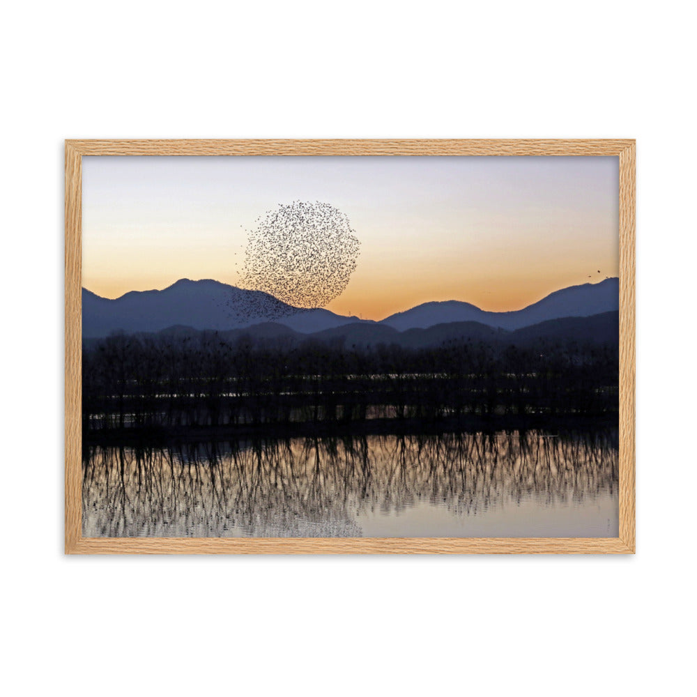 Sonnenuntergang im Junam-Wasserreservoir - Poster im Rahmen Young Han Song Oak / 50×70 cm artlia