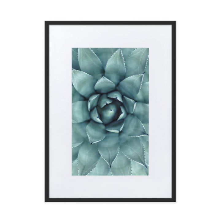 Blumenkaktus - Poster im Rahmen mit Passepartout Kuratoren von artlia Schwarz / 50×70 cm artlia