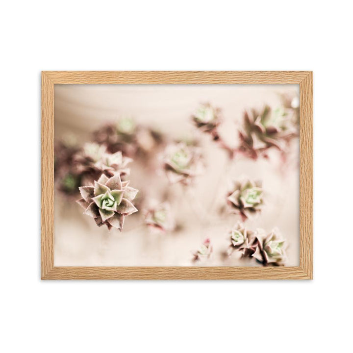 Flower Cactus - Poster im Rahmen artlia Oak / 30×40 cm artlia