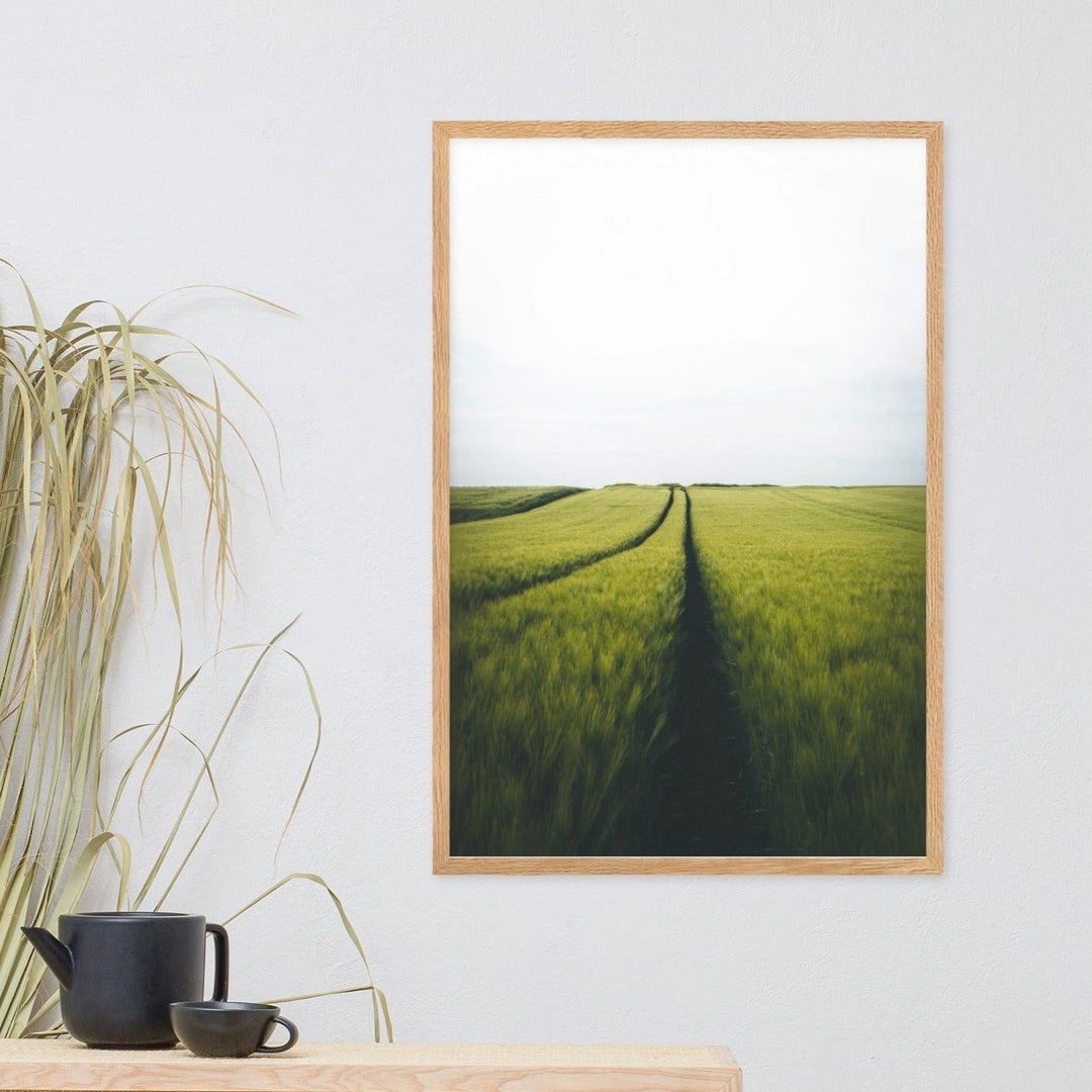 Gerstenfeld barley field - Poster im Rahmen Kuratoren von artlia artlia