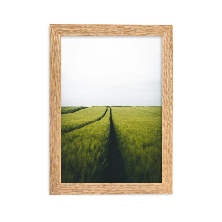 Gerstenfeld barley field - Poster im Rahmen Kuratoren von artlia Oak / 21×30 cm artlia