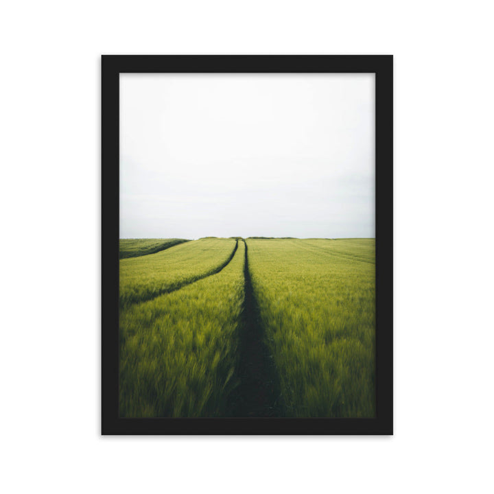 Gerstenfeld barley field - Poster im Rahmen Kuratoren von artlia Schwarz / 30×40 cm artlia