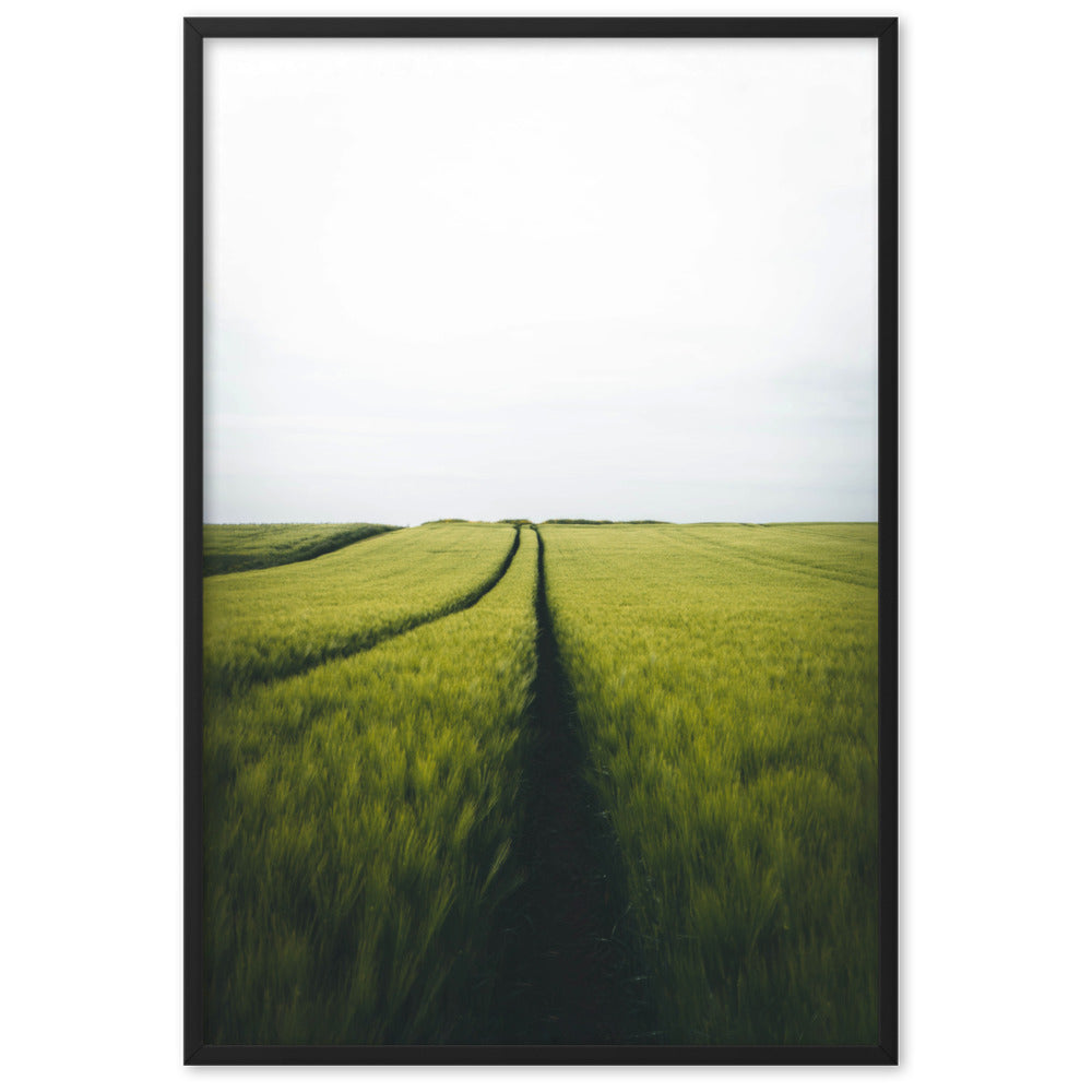 Gerstenfeld barley field - Poster im Rahmen Kuratoren von artlia Schwarz / 61×91 cm artlia