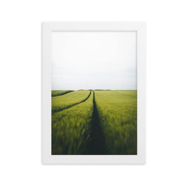 Gerstenfeld barley field - Poster im Rahmen Kuratoren von artlia Weiß / 21×30 cm artlia