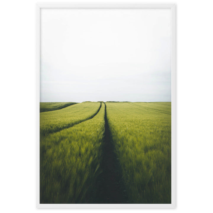 Gerstenfeld barley field - Poster im Rahmen Kuratoren von artlia Weiß / 61×91 cm artlia