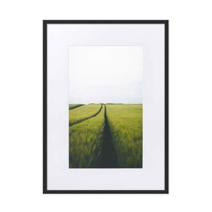 Gerstenfeld barley field - Poster im Rahmen mit Passepartout Kuratoren von artlia Schwarz / 50×70 cm artlia