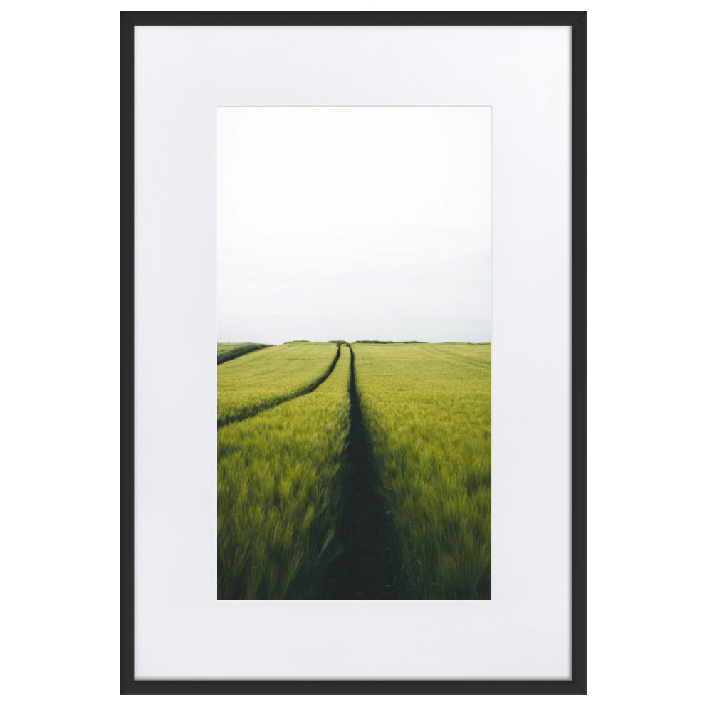 Gerstenfeld barley field - Poster im Rahmen mit Passepartout Kuratoren von artlia Schwarz / 61×91 cm artlia