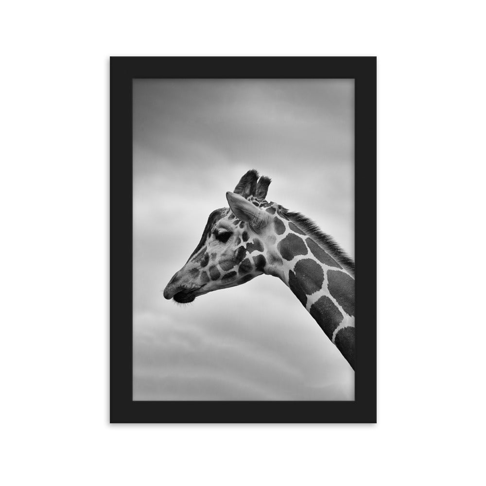 Giraffe - Poster im Rahmen Kuratoren von artlia Schwarz / 21×30 cm artlia